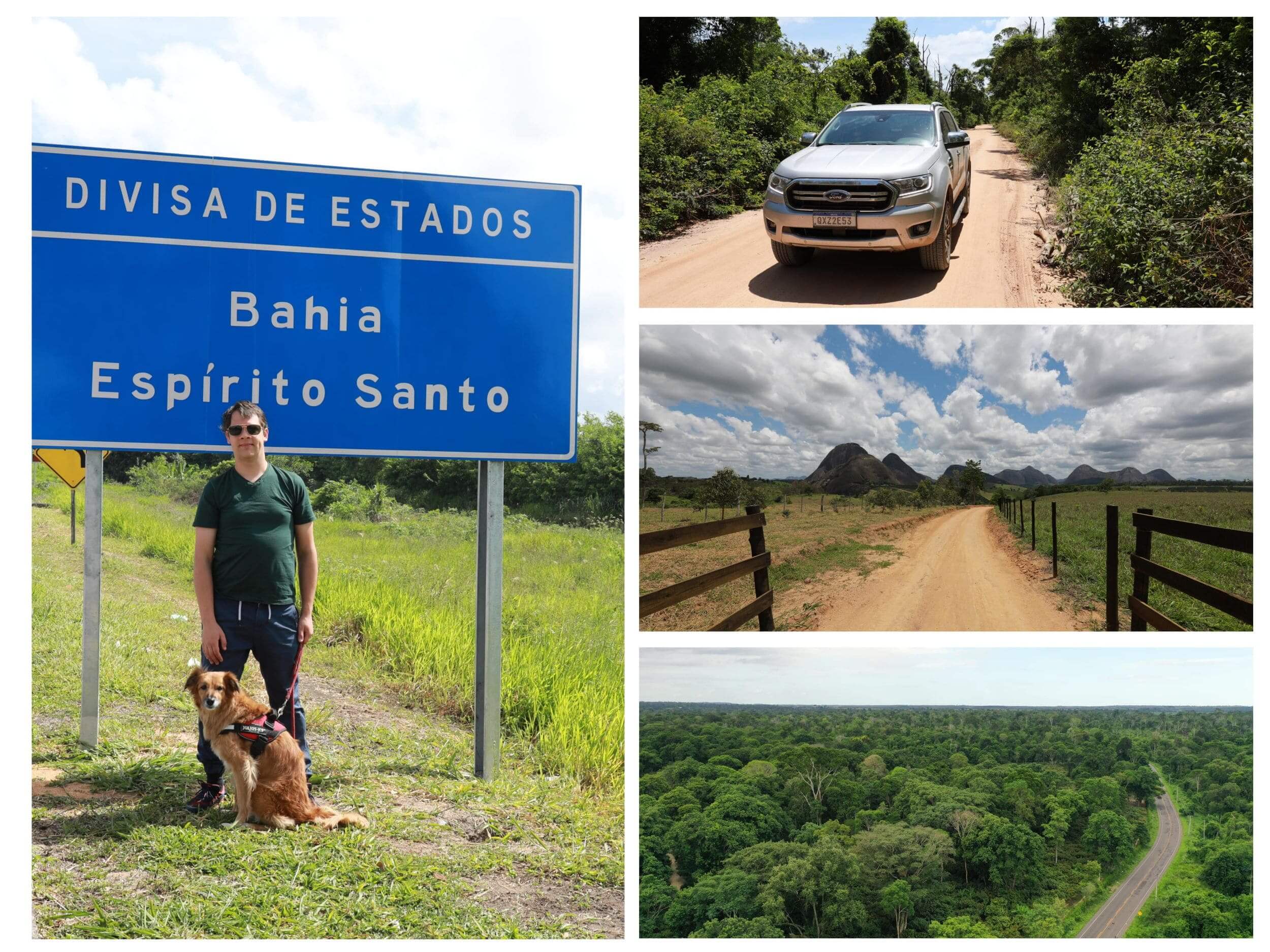 Spécialiste de limport export de baie daçai en poudre du Brésil